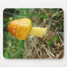 Photo orange de Mushroon Tapis De Souris