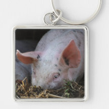 Photo rose de porc porte-clefs