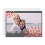 Photo Save the Date // Posh Petals // Papaya Personalized Announcement