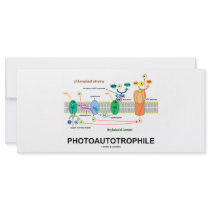 Photoautrophile (Photosynthesis)