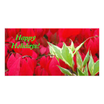 Photocard rouge et vert cartes de vœux avec photo
