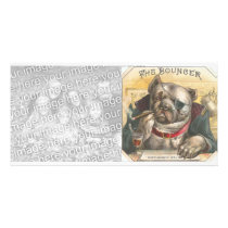 Photocard Vintage Dog Bouncer Bar Photo Card
