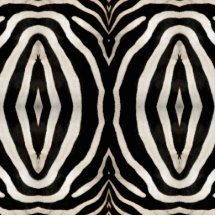 Photograph of a real Zebra's Fur Cut Outs