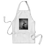 Photograph of a Samurai C. 1860 Apron