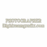 PHOTOGRAPHER embroidered shirts