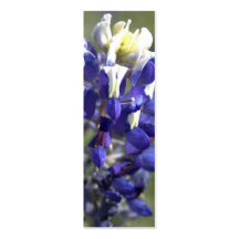 Photographic Volunteer Appreciation Gift Business Card