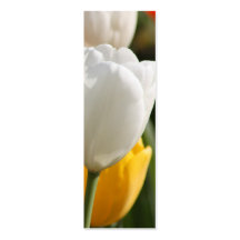 Photographic Volunteer Appreciation Gift Business Cards