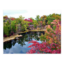 Photographie d'automne du Missouri Cartes Postales