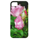 Photographie de rose de rose coques Case-Mate iPhone 5