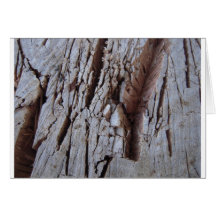 Photographie en bois coupée de texture cartes de vœux