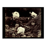 Photographie-Eugène Atget 45 de Carte-Cru Carte Postale