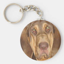 Photographie Keychain de limier Porte-clés