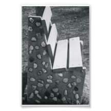 Photographie L1 4x6 noir et blanc de lettre d'alph