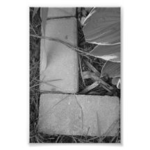 Photographie L5 4x6 noir et blanc de lettre d'alph