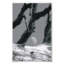 Photographie M7 4x6 noir et blanc de lettre d'alph