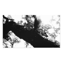 Photographie noire et blanche d'arbre de lumière d cartes de visite professionnelles