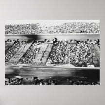 Photographie Posters