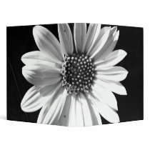 photography binders