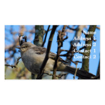 Photography Business Card