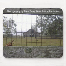 Photography by Faye Grey  New Ib... Mouse Pad