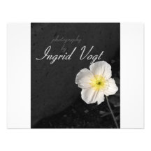photography custom announcements