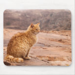 Photography of ginger Cat Mousepad
