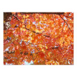Photography prints gifts Autumn Leaves Nature photography