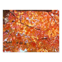 Photography prints gifts Autumn Leaves Nature