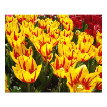 Photography prints Sring Tulip Flowers Festival