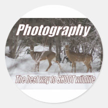 Photography, The best way to SHOOT wildlife Stickers
