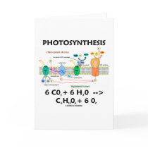 Photosynthesis (Carbon Dioxide + Water)