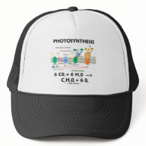 Photosynthesis (Carbon Dioxide + Water)