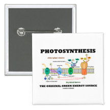 Photosynthesis The Original Green Energy Source Buttons