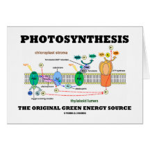 Photosynthesis The Original Green Energy Source Greeting Card