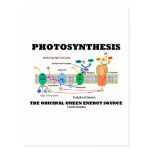 Photosynthesis The Original Green Energy Source Post Card
