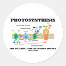 Photosynthesis The Original Green Energy Source Round Sticker