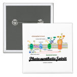 Photosynthetic Spirit (Biochemistry Attitude) Pins