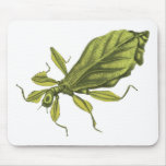 Phyllium Siccifolia Mousepads