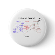 Phylogenetic Tree Of Life - You Are Here (Biology)