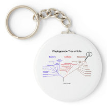 Phylogenetic Tree Of Life - You Are Here (Biology)