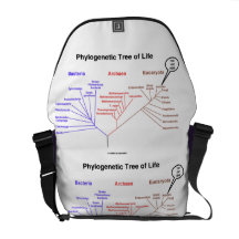Phylogenetic Tree Of Life You Are Here (Biology) Commuter Bag