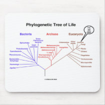 Phylogenetic Tree Of Life - You Are Here (Biology)