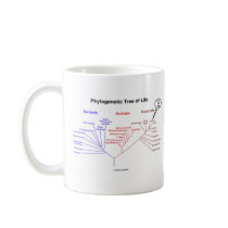 Phylogenetic Tree Of Life - You Are Here (Biology) Mugs