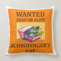 physics joke throw pillows