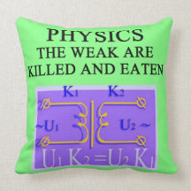 physics,physicist,relativity,string+theory,quantum pillows