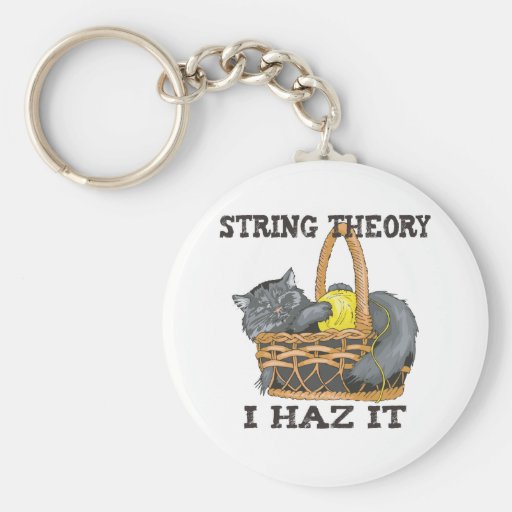 Physics String Theory Cat Key Chain