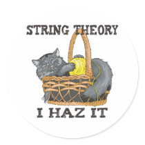 Physics String Theory Cat Round Sticker