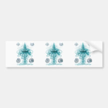 Physophora Bumper Sticker