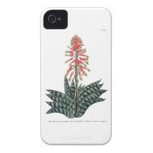 Phytanthoza iconographia N68 iPhone 4 Case