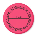 Pi Circle Berry Magnet